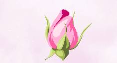 For HER